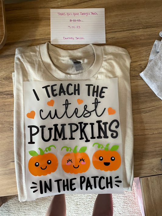 I Teach the cutest Pumpkins in the patch. đ