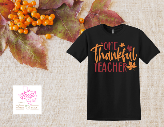 One Thankful Teacher