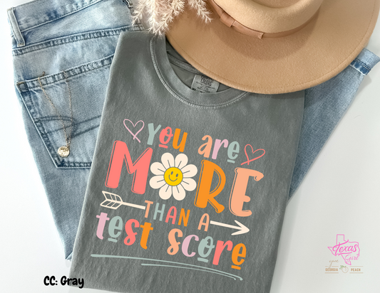 You are more than a test score.