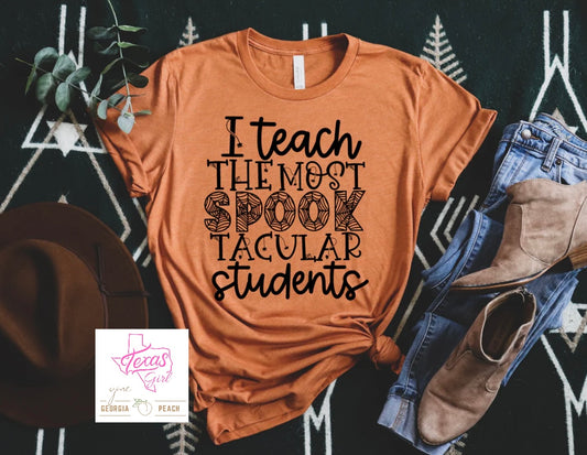 Teacher Apple check